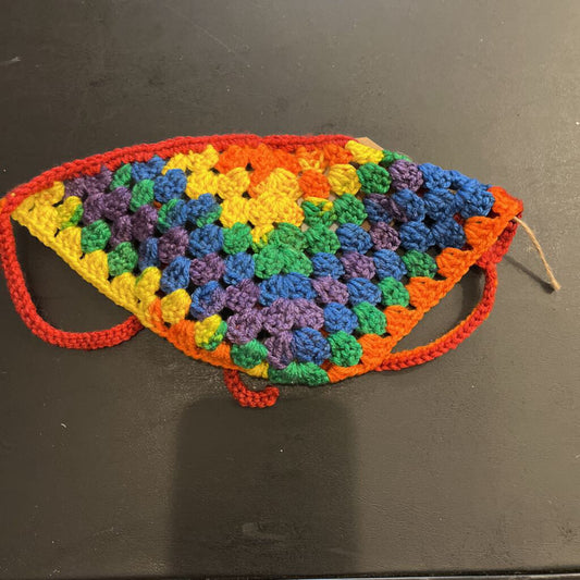 Pride Bandana