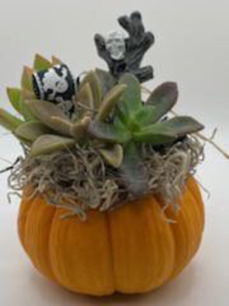 Org Succulent Pumpkin Skull Tombstone