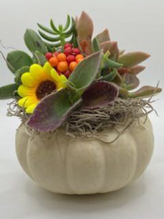 Wht Succulent Pumpkin/Sunflwr Orange Berries