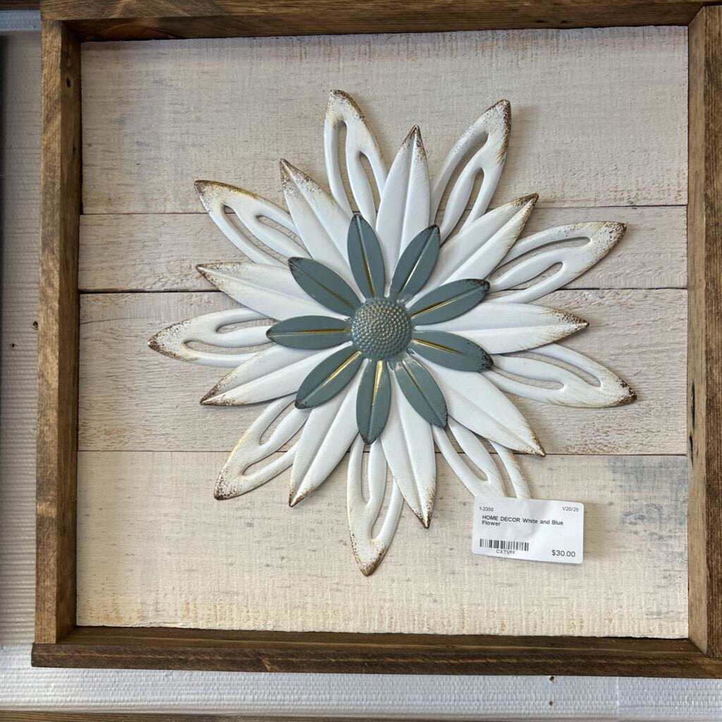 White and Blue Flower