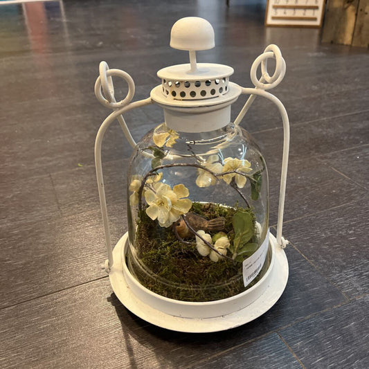 Bird Terrarium