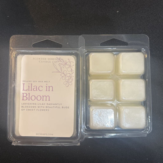Wax Melt Lilac in Bloom