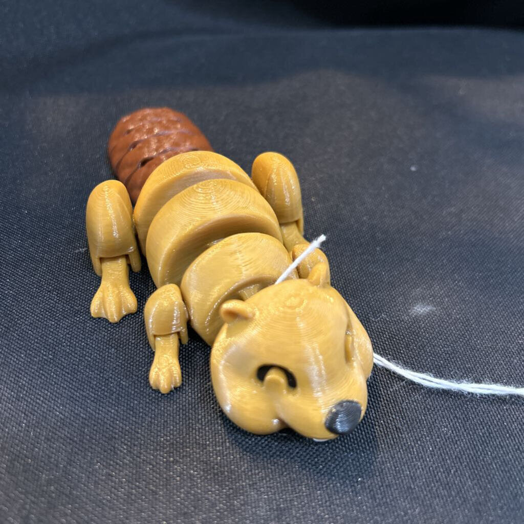 3D Beaver