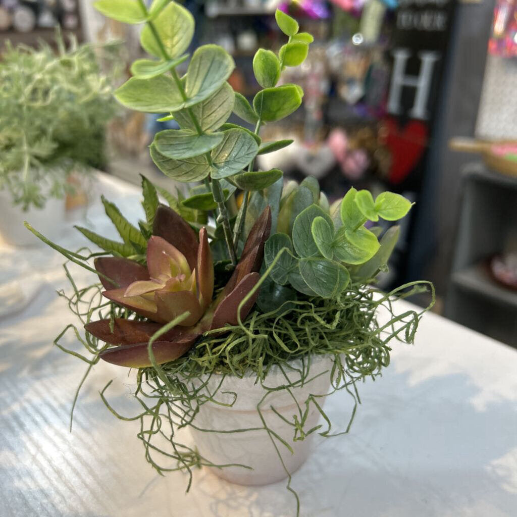 3" Succulent white pot