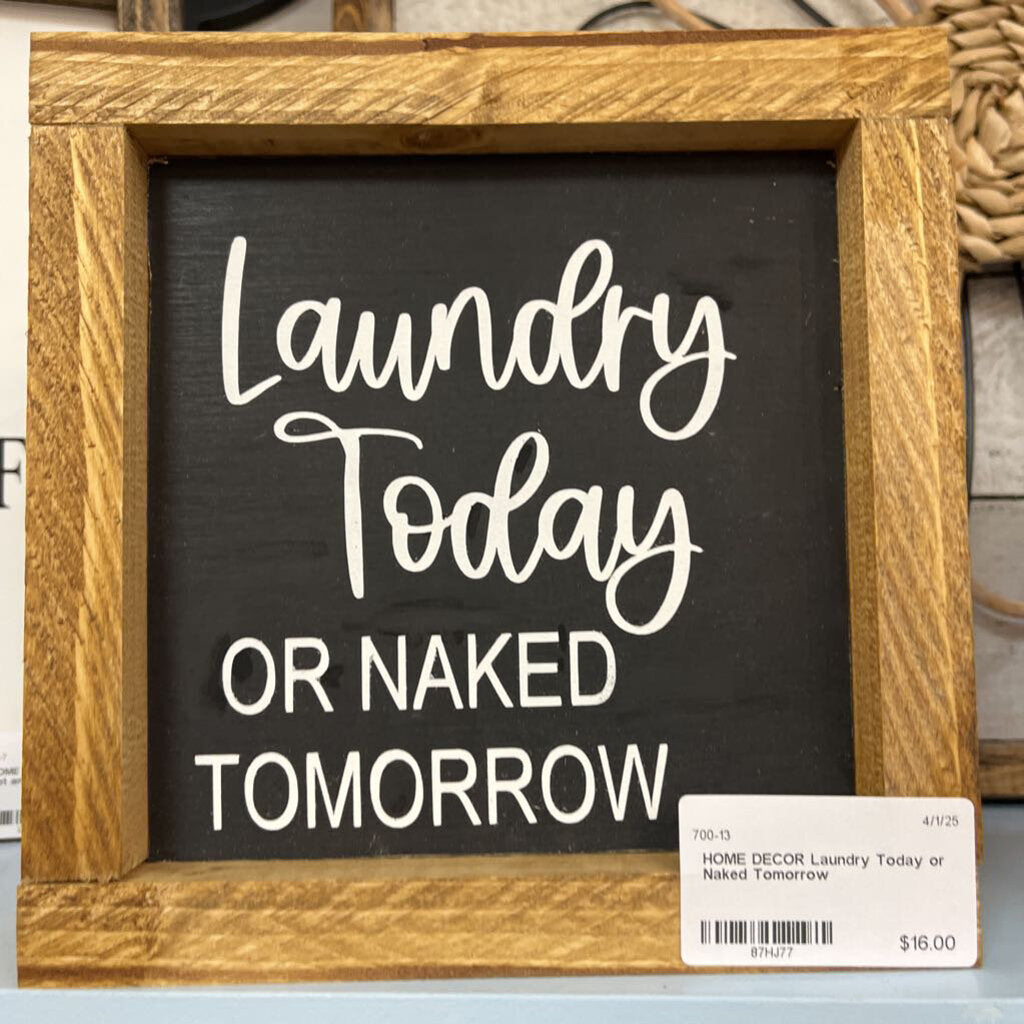 Laundry Today or Naked Tomorrow