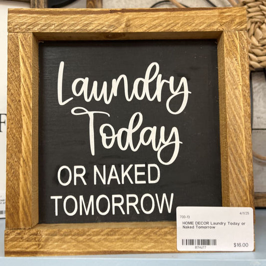 Laundry Today or Naked Tomorrow