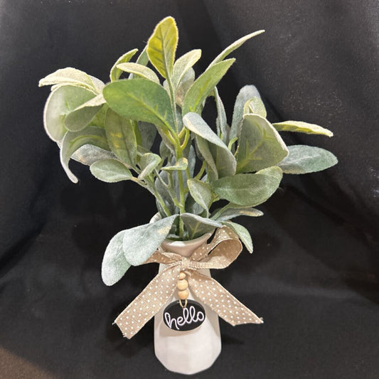 White hello vase with lamb ears flowers