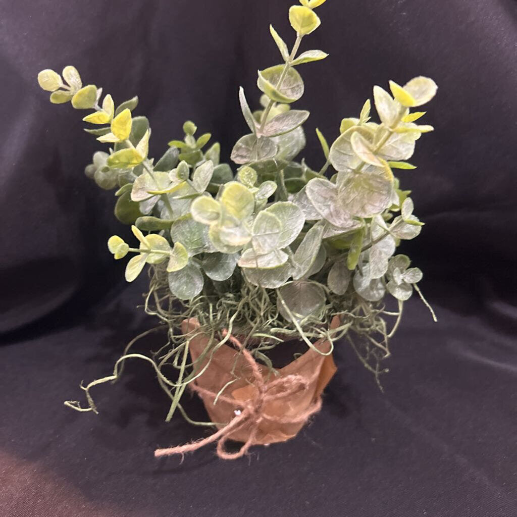 3" floral, paper wrapped black pot