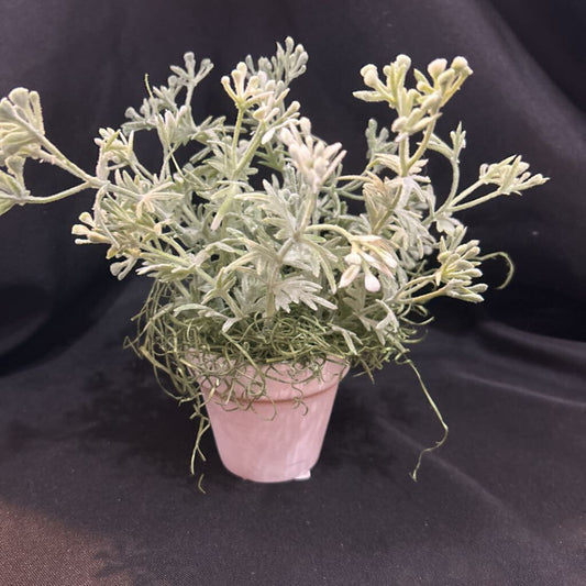 3" white pot with floral greens