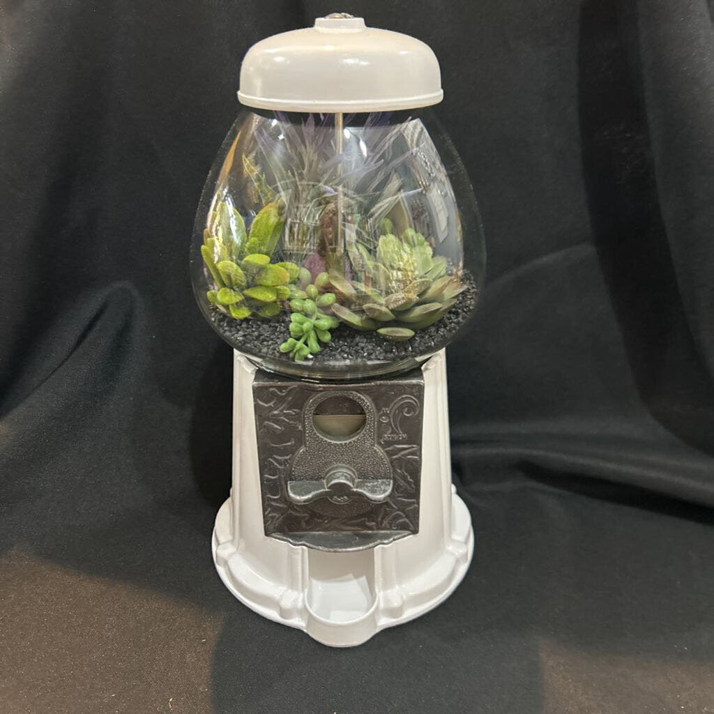 Gumball Machine Succulent Terrarium