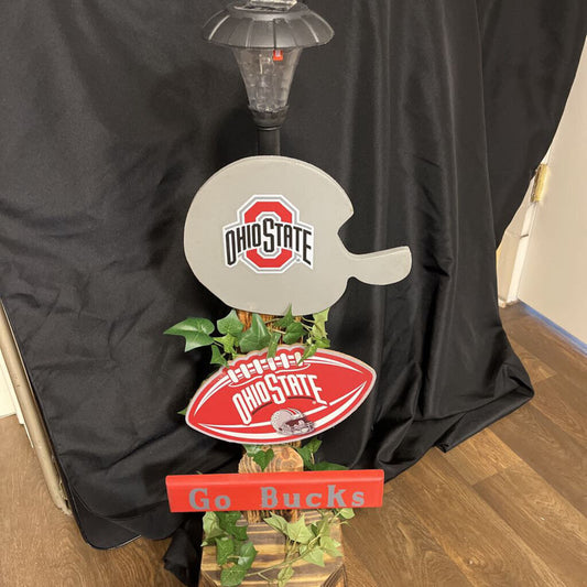 Ohio State Solar Light