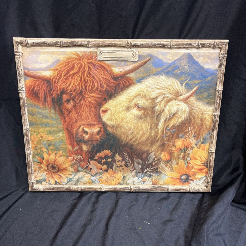 Medium Highland Cow Picture
