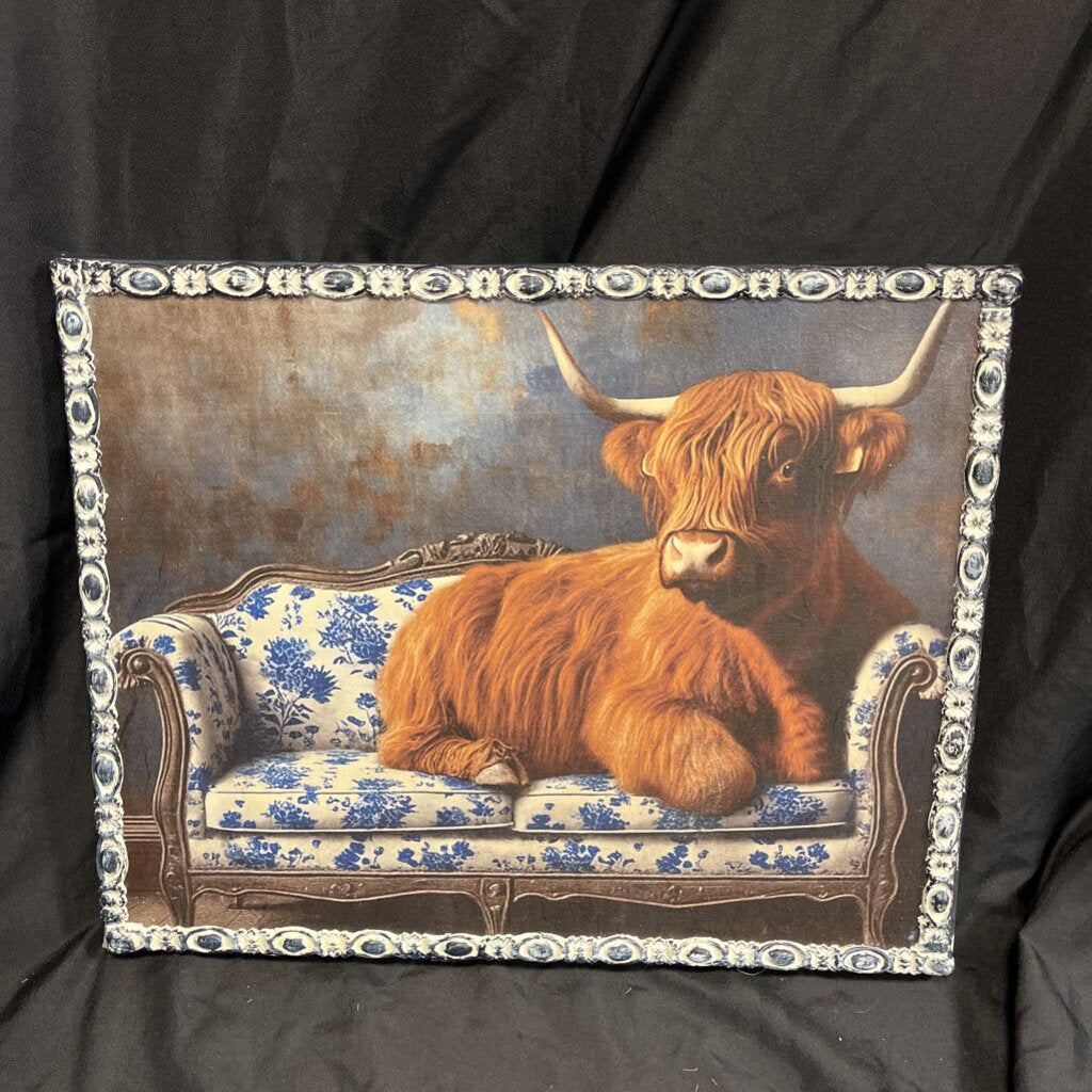 Medium Highland Cow Picture