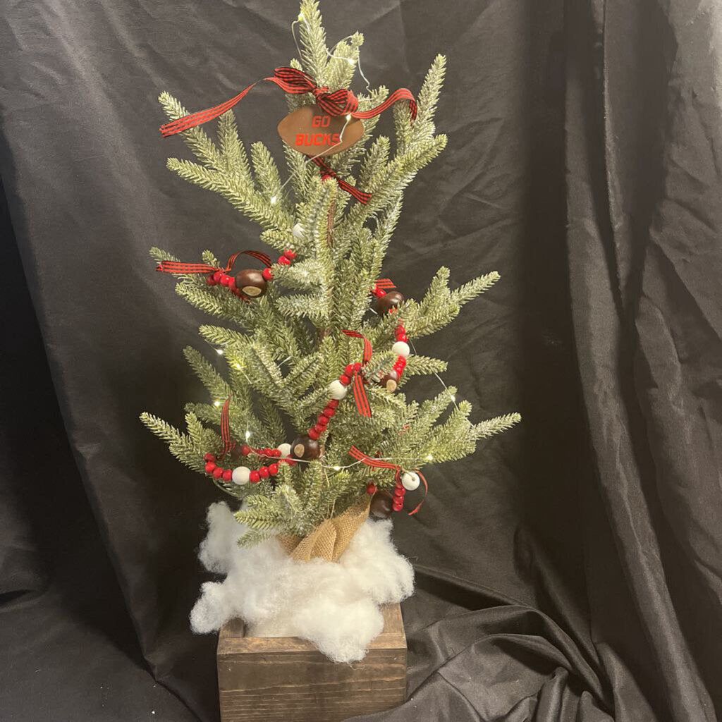 Light Up OSU Tree-Stain Box-Go Bucks Football