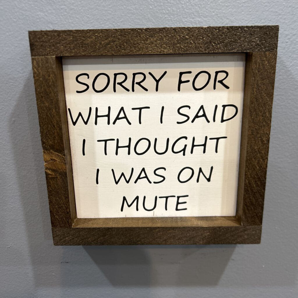 Sorry for What I Said