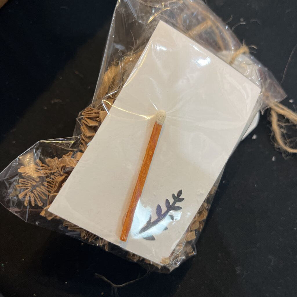 1. Chapter One Fire Starter (Single)