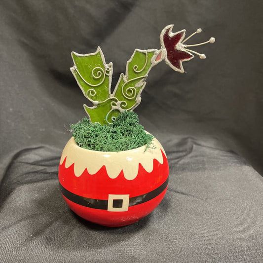 Xmas Cactus