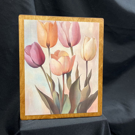Tulips
