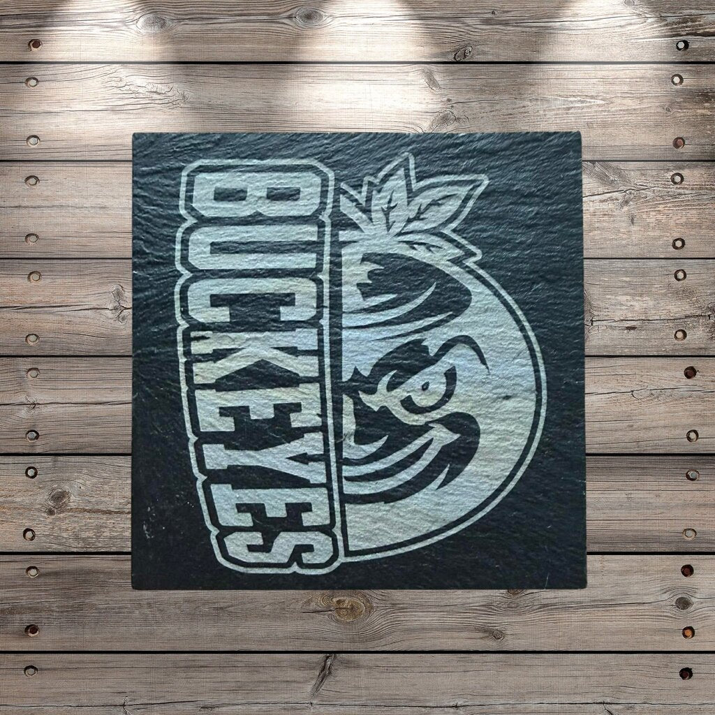 Ohio State Coasters