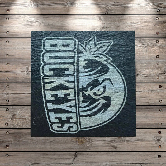 Ohio State Coasters