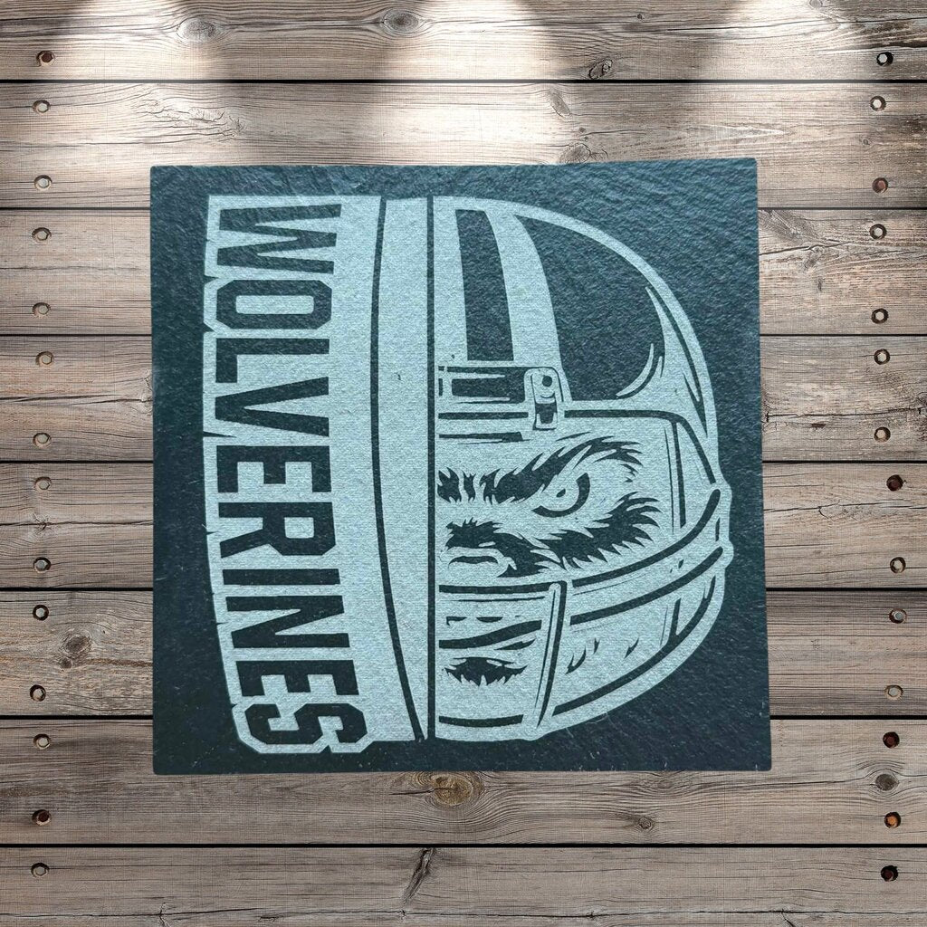 Michigan Wolverine Coasters