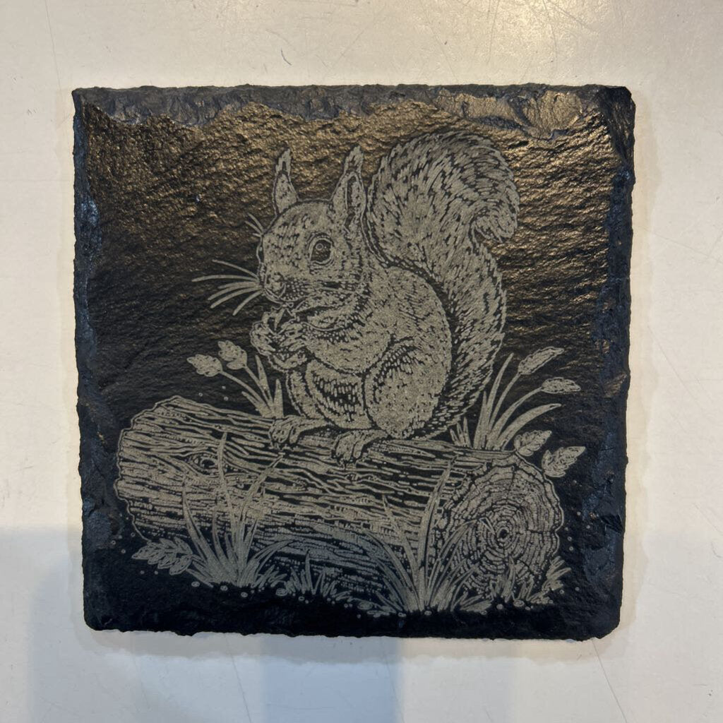 Squirrel Single Coaster