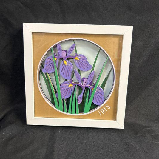 Iris Shadowbox, white frame (8x8)