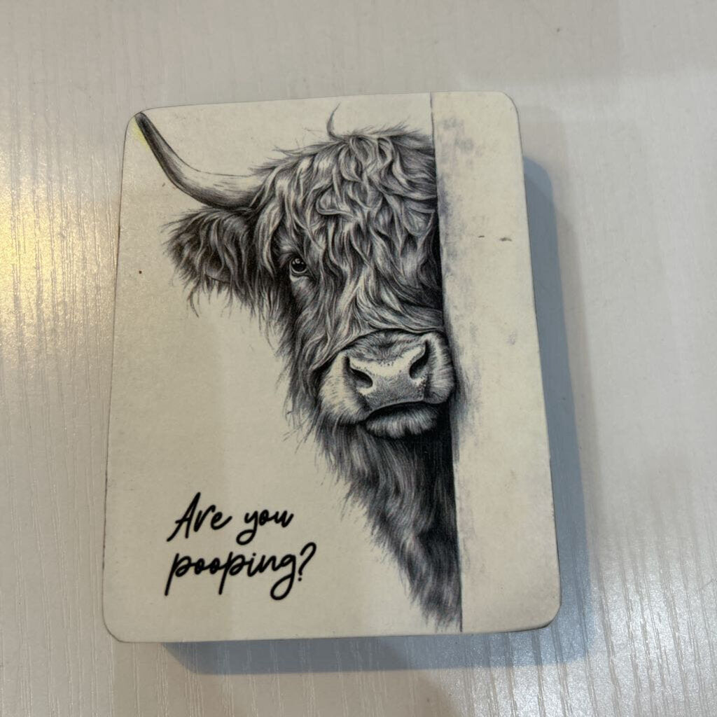 Highland Cow Pooping