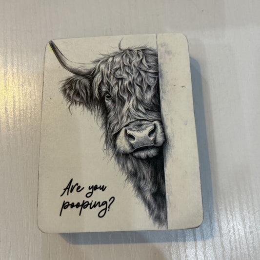Highland Cow Pooping