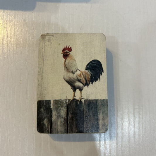 Rooster