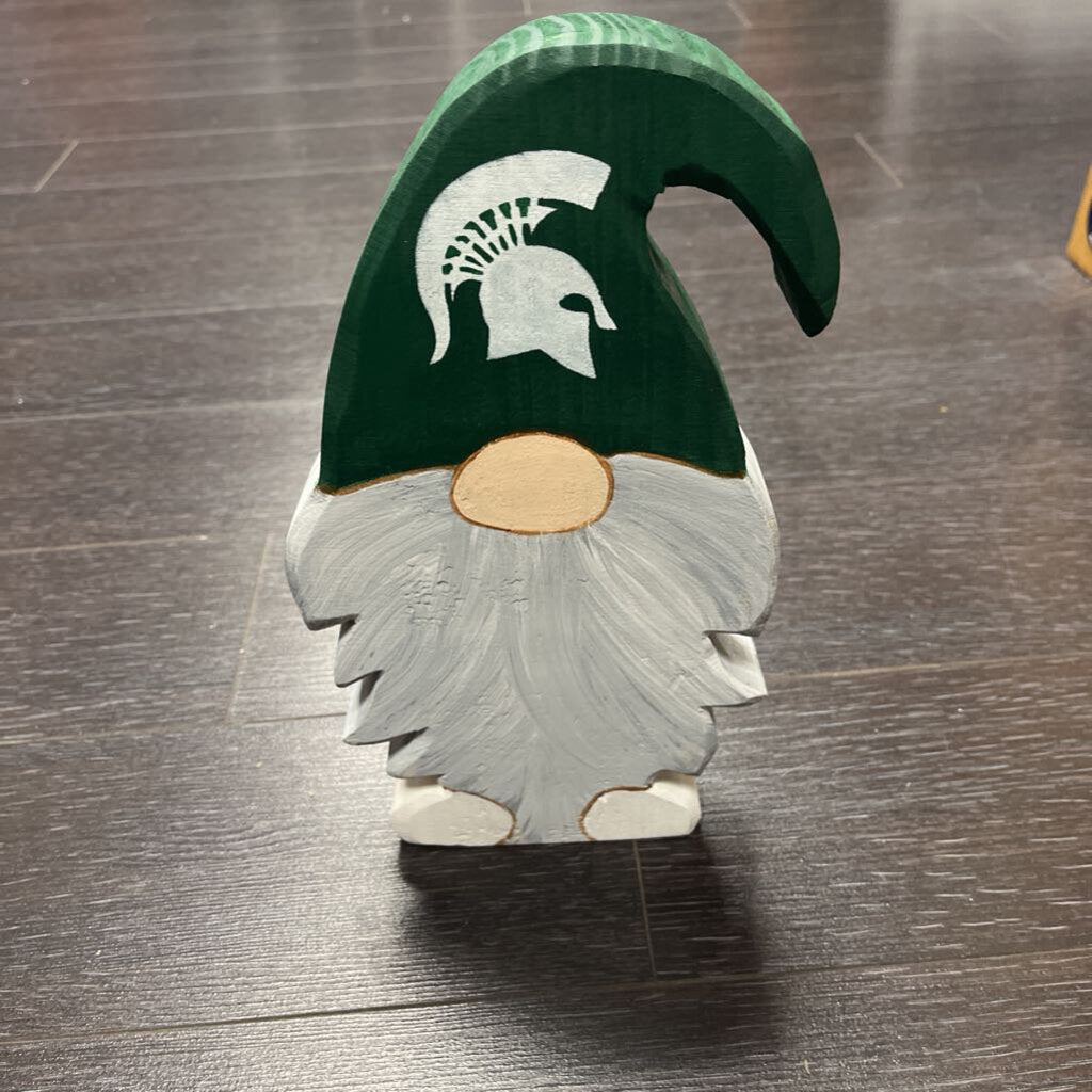 MD Michigan State Gnome