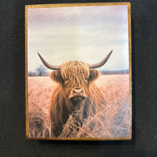 Highland Cow Field Small
