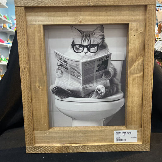 Canva Cat on Toilet