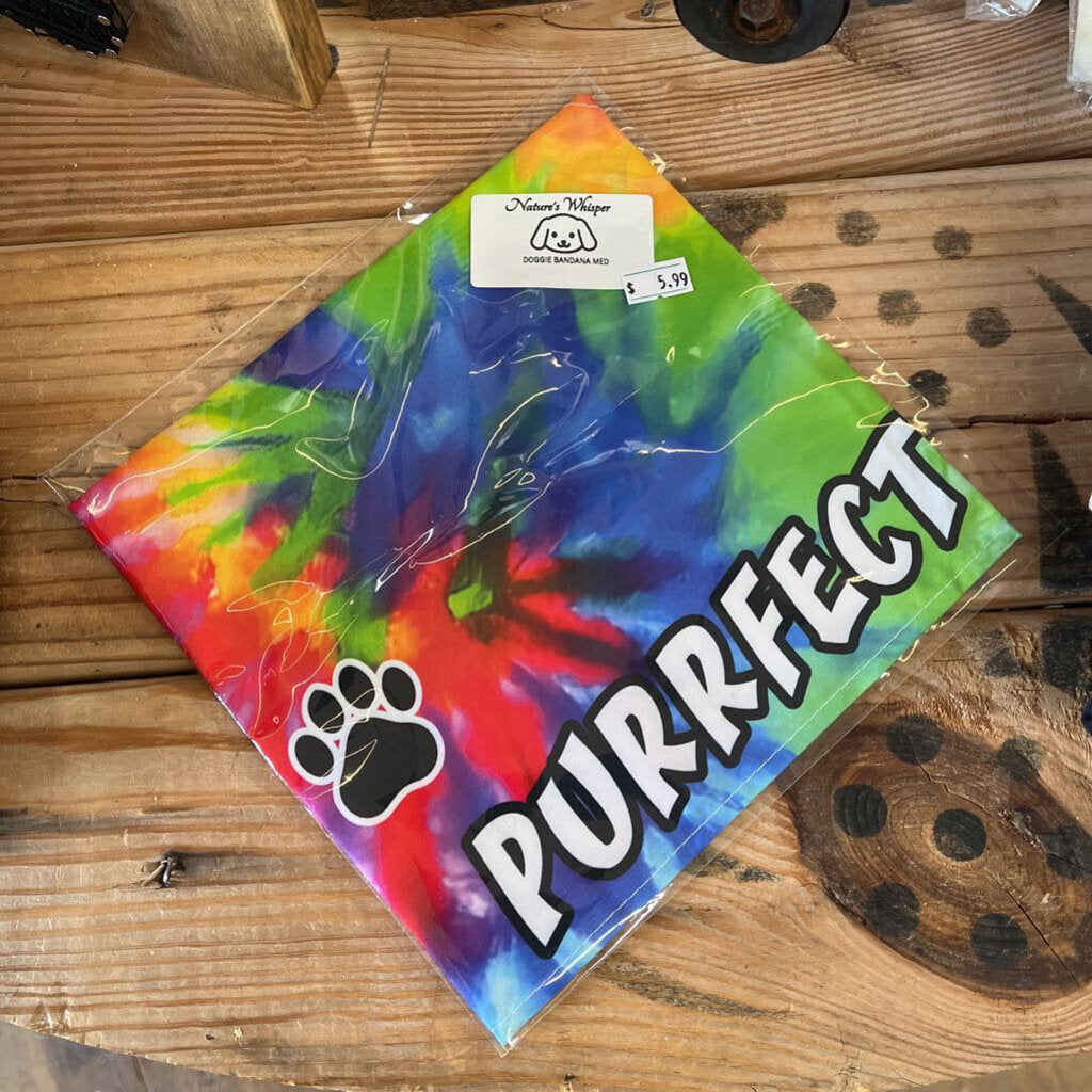 "Purrfect" Cat Scarf
