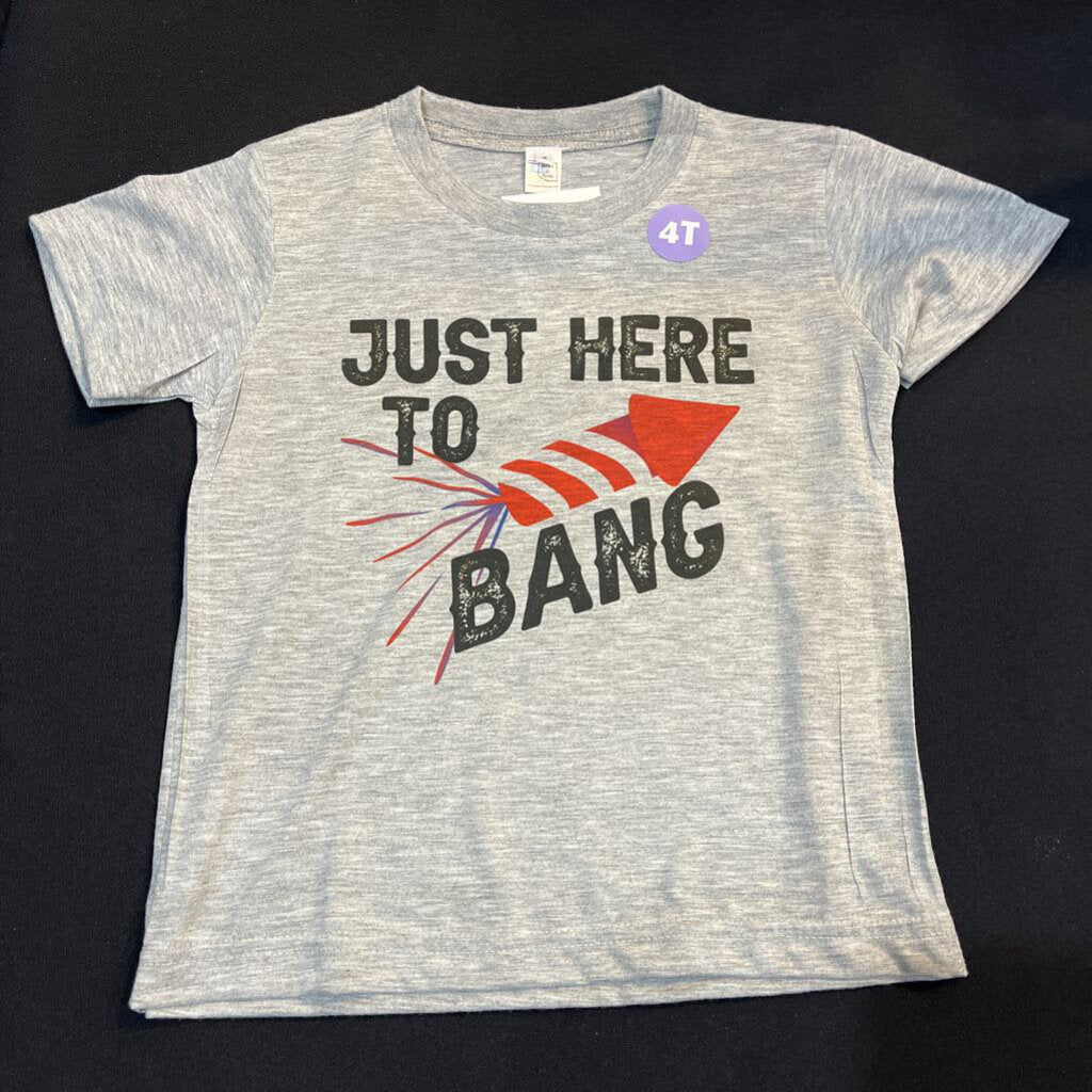 Just Here for the Boom (4, gray, t-shirt)