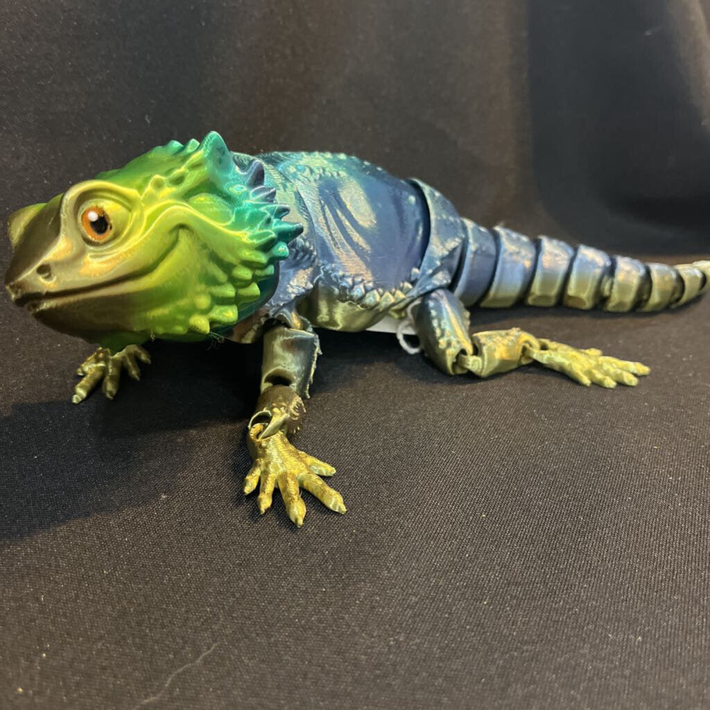 Iguana (M)