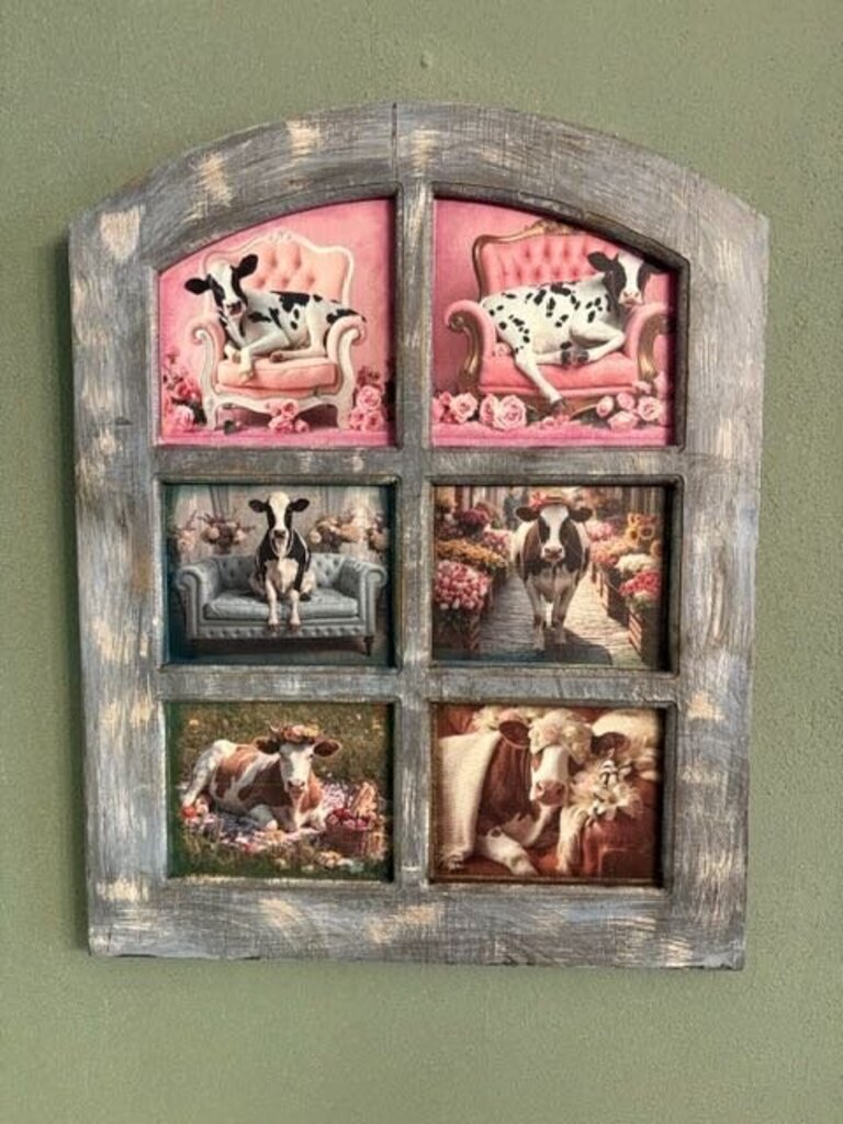 6 Window, cow college