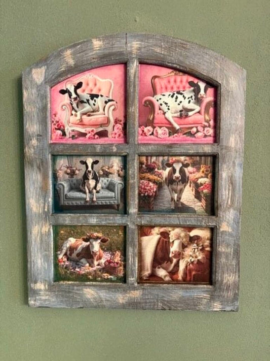 6 Window, cow college