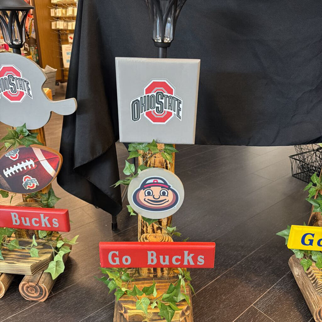 Ohio State Non Sports Solar Light