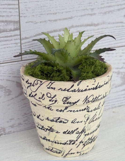Woodland Crown Vintage Script Faux Succulent Planter