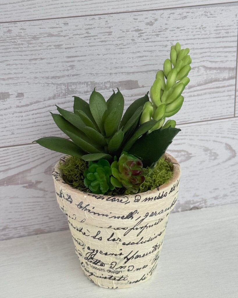 Forest Summit Vintage Script Faux Succulent Planter