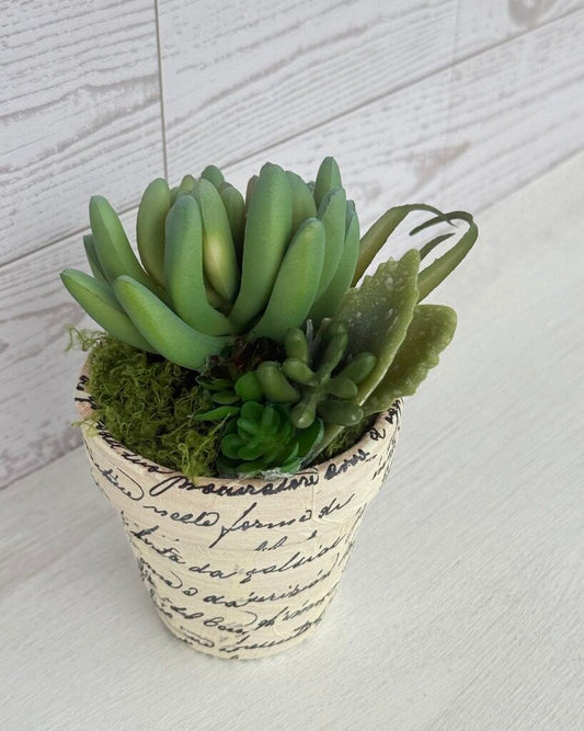 Willow Grove Vintage Script Faux Succulent Planter