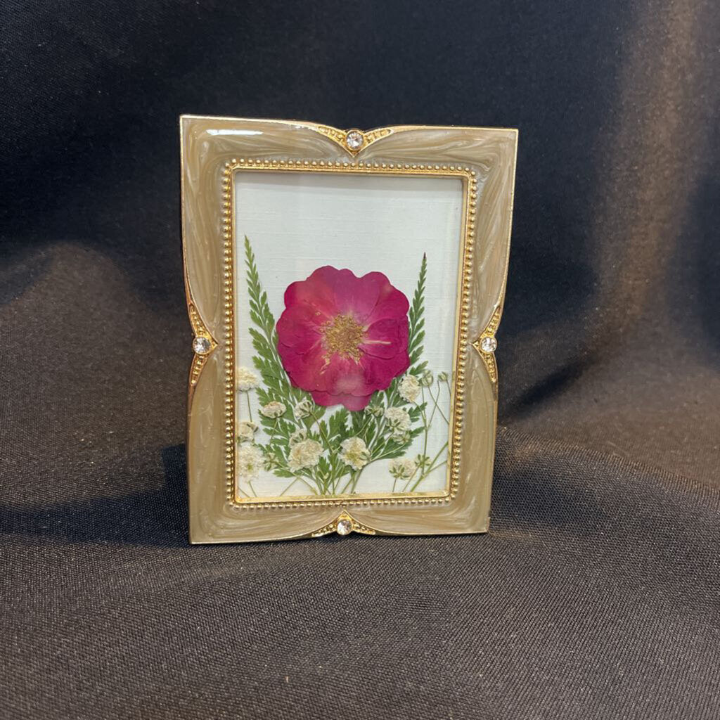 2x3 Frame with Pressed Rose