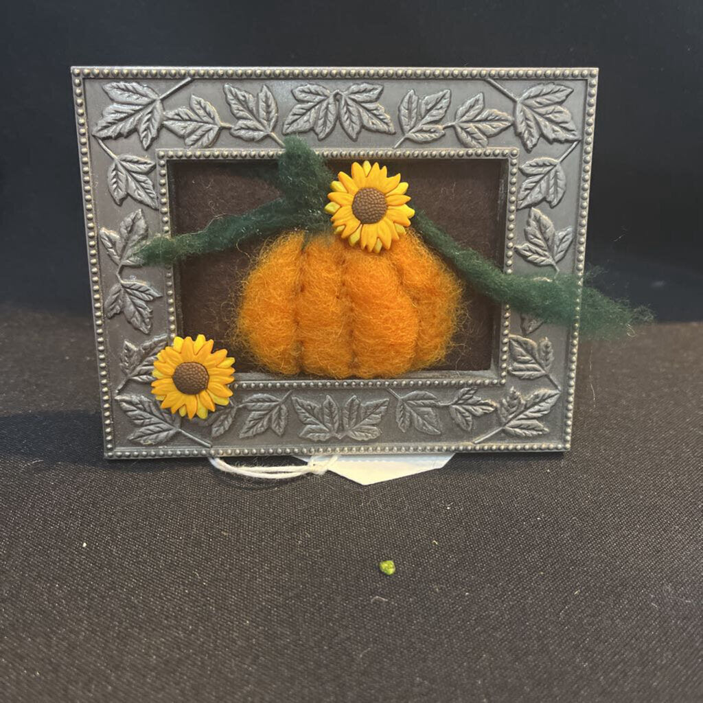 Sm Pumpkin pic in Frame