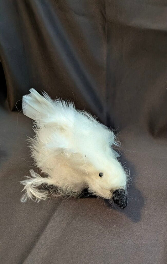 White bird w/feathers