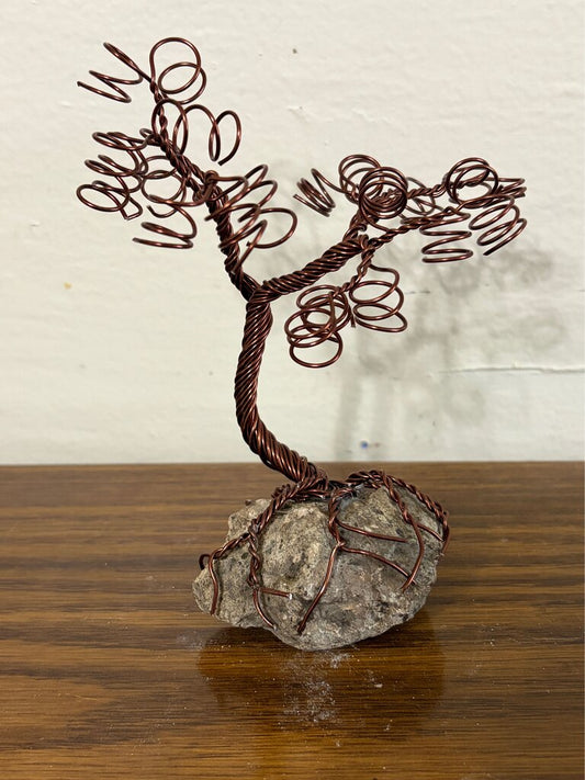 Small Brown Tree