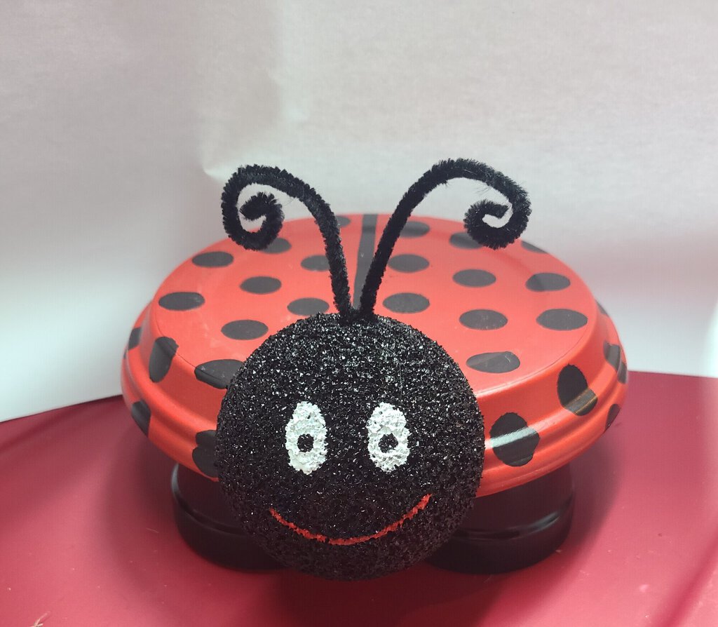 Ladybug pot pet