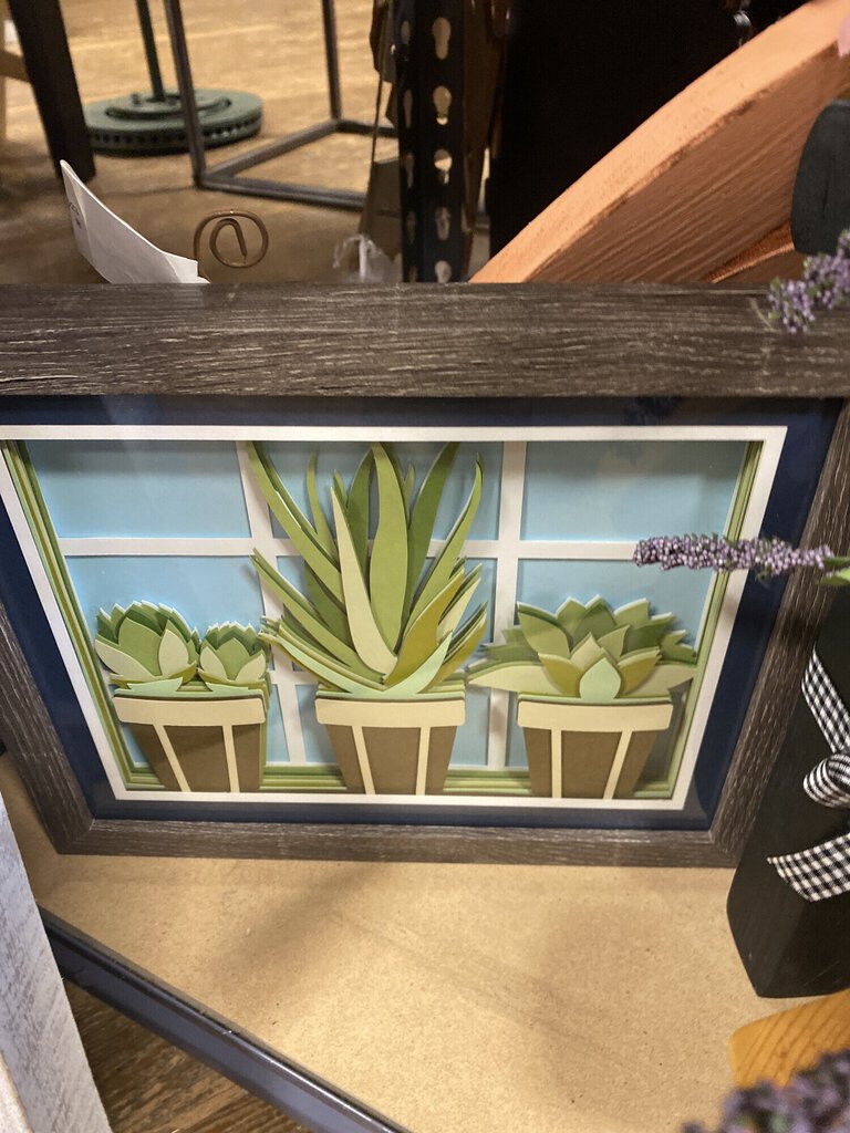 Shadowbox, Succulents In Pots, Size: 8x10