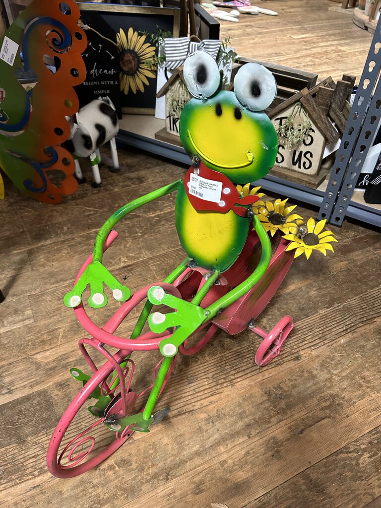 Metal Frog Riding Bike w/ pink cart
